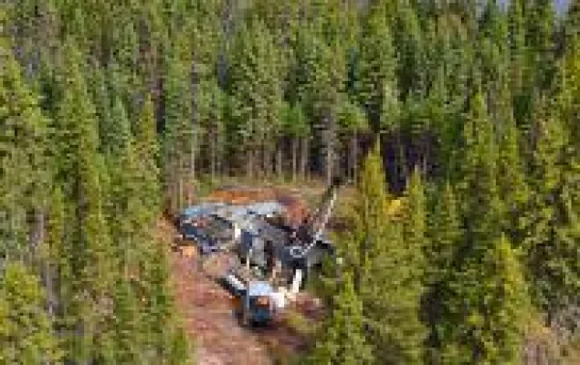 Bild: Bonterra: Die Erfolgsserie geht weiter! Erneut hohe Goldgehalte erbohrt!