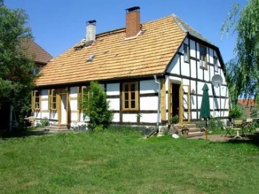 Bild: Mit dem Hund ans Meer