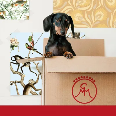 Neue Tapeten der Gräflich Münster'schen Manufaktur entdecken Bild: Neue Tapeten der Gräflich Münster'schen Manufaktur entdecken