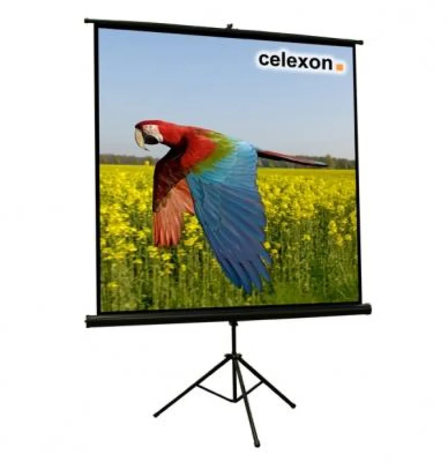 Celexon GmbH & Co. KG