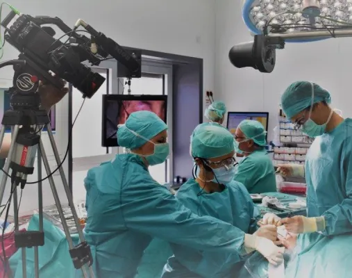 Bild: Missglückte Schönheits-OP - Experten zeigen, wie man helfen kann