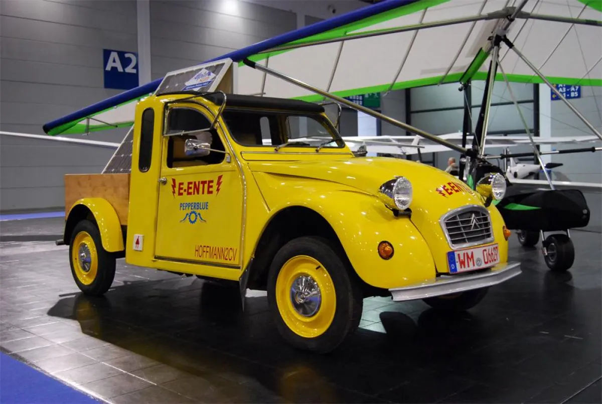 Die Elektroente in der Version als Pickup