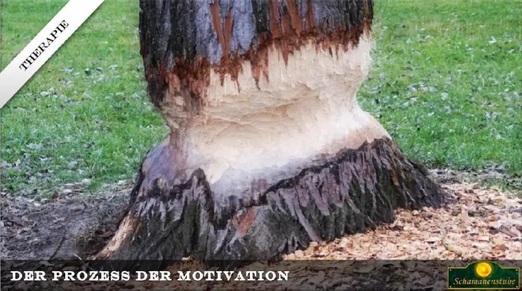 Bild: Selbstmotivation aus dem Plateau-Effekt