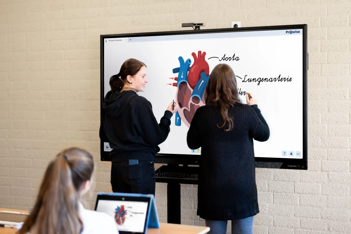 Statt auszuschreiben, können Schulen digitale Tafeln einfach direkt bei Prowise bestellen. (© Prowise GmbH)