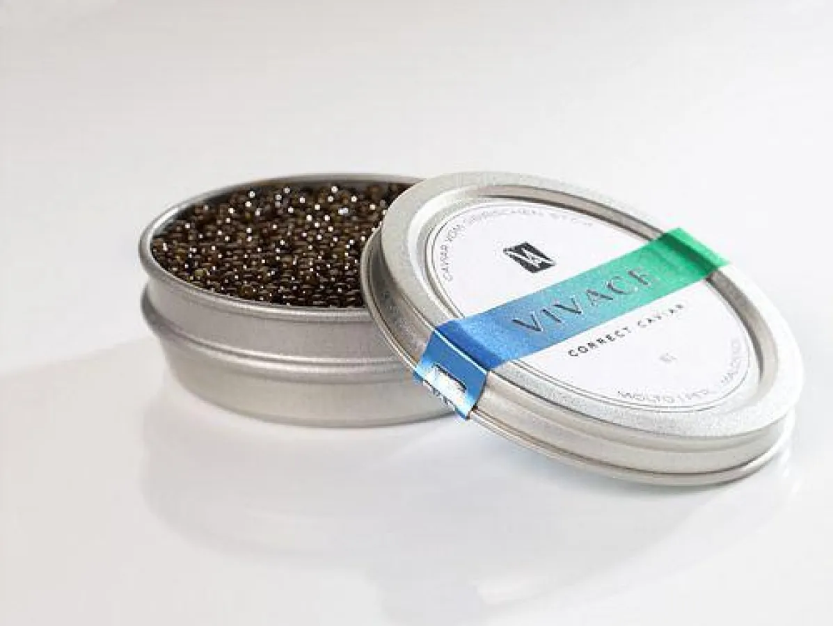Vivace Correct Caviar