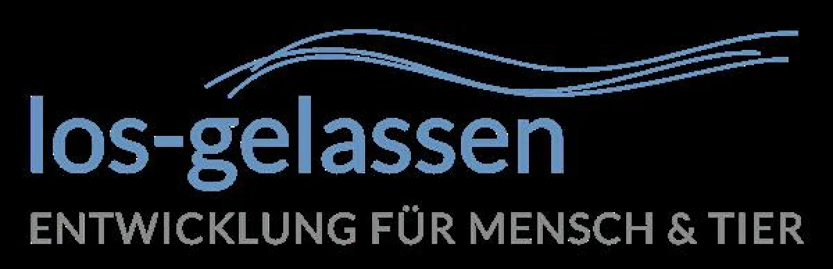 Richtige Wege in der Reiterei