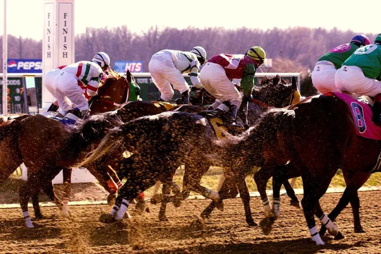Louisiana Champions Tag im Fairgrounds Park Bild: Louisiana Champions Tag im Fairgrounds Park