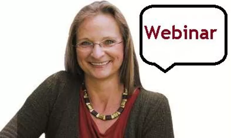 Bild: Webinare – die ultraschnelle Wissens- und Informationsquelle
