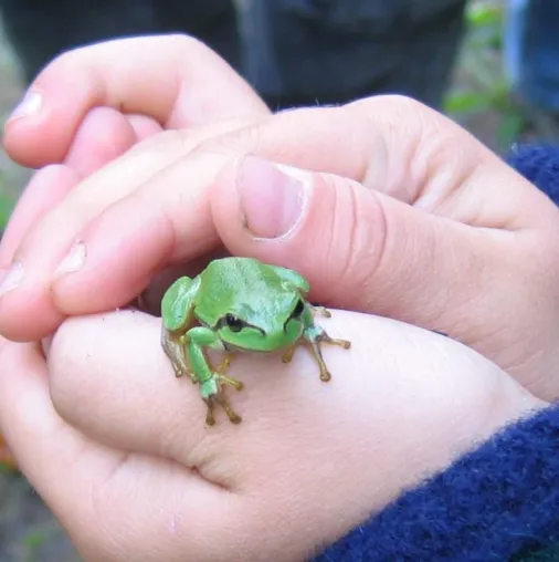 Junior-Wildhüter in Vorpommern Bild: Junior-Wildhüter in Vorpommern