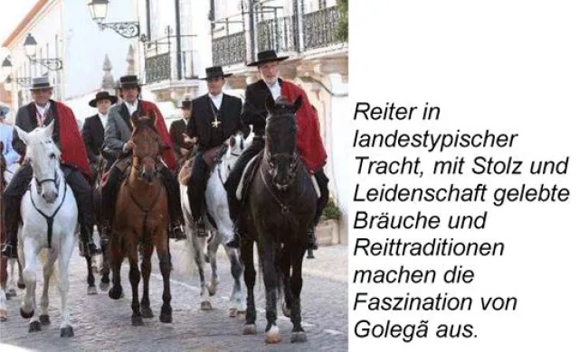 Bild: Newsletter der Botschaft von Portugal in Deutschland - 13 / 2012 - Auf dem Weg zur wirtschaftlichen Erholung