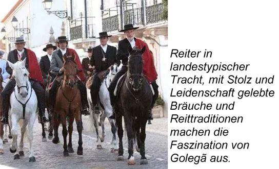 Bild: Newsletter der Botschaft von Portugal in Deutschland - 13 / 2012 - Auf dem Weg zur wirtschaftlichen Erholung