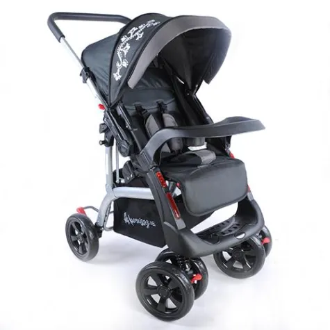 Der neue Buggy Delux ist endlich da Bild: Der neue Buggy Delux ist endlich da