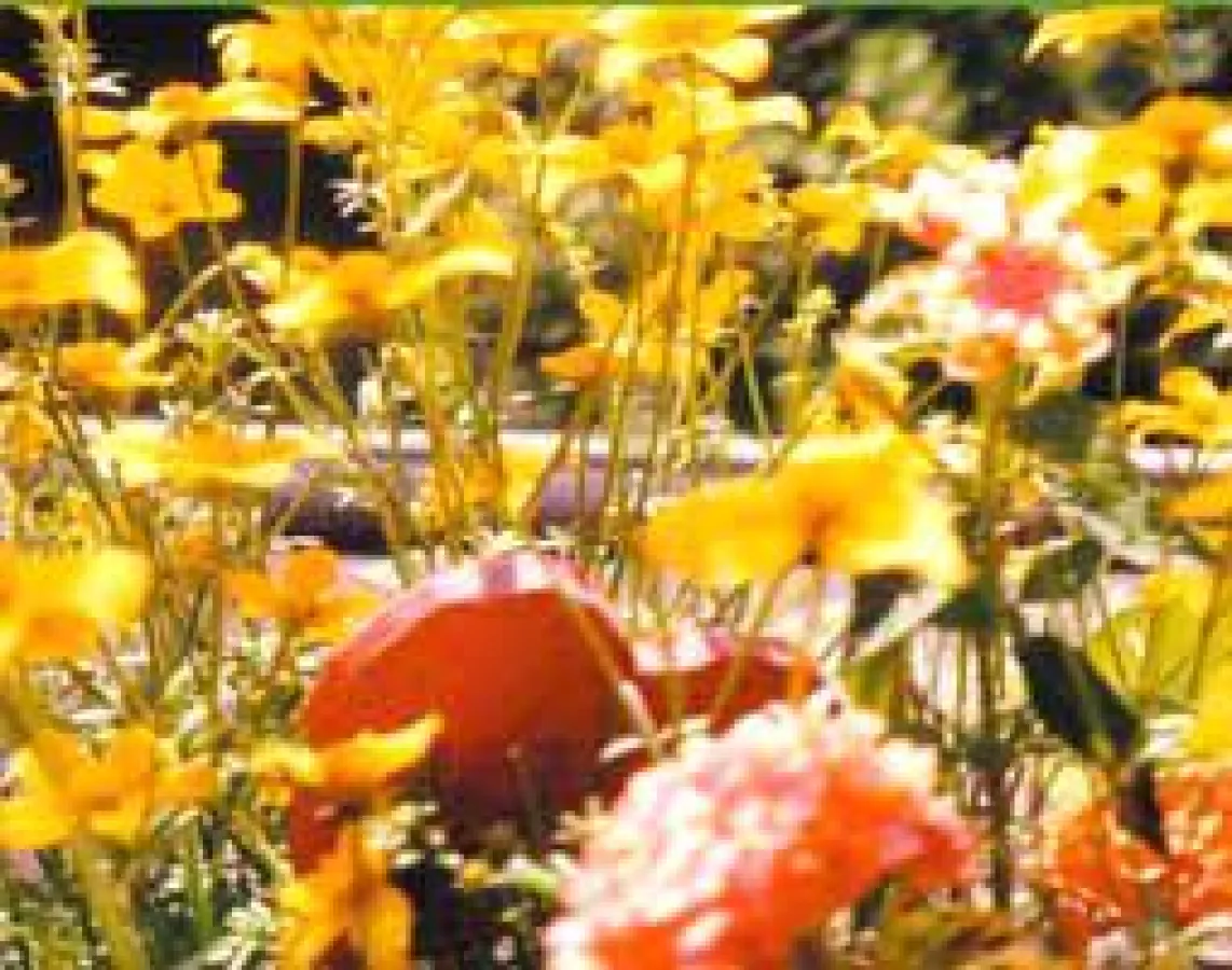 Balkongestaltung vor Ort