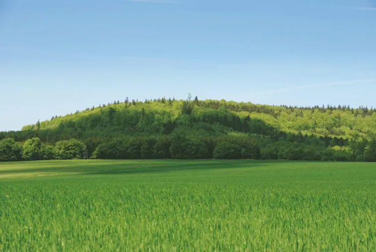 Bild: Das Naturresort Schindelbruch im Harz: Umweltmanagement im Wellnesshotel ist eine Investition in die Zukunft