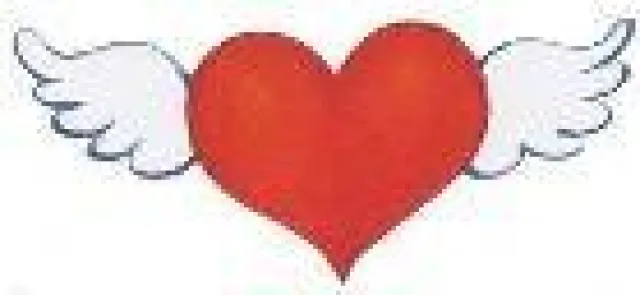 Bild: Seriöse Herzenssache: endlich qualitätsgesicherte, einheitliche Ausbildung für Energetiker in Österreich