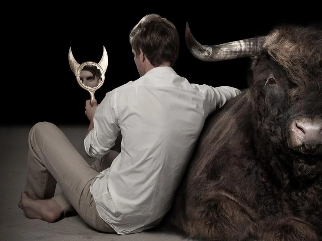 Die neue Bildsprache: Der Stier 