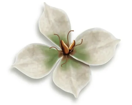 Pflanzliches Fitnesstraining für den Darm: Flohsamenschalen wirksam gegen Verstopfung Bild: Pflanzliches Fitnesstraining für den Darm: Flohsamenschalen wirksam gegen Verstopfung