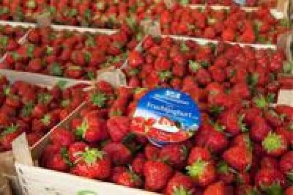 Bild: Weihenstephan hat ‘nen Neuen: Freisinger Traditionsmolkerei mit neuem Premium Fruchtjoghurt