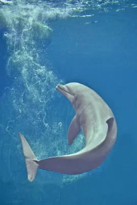 Bild: Zusatztermin für das 1-tägige Fotoseminar „Tierfotografie“im Tiergarten Nürnberg