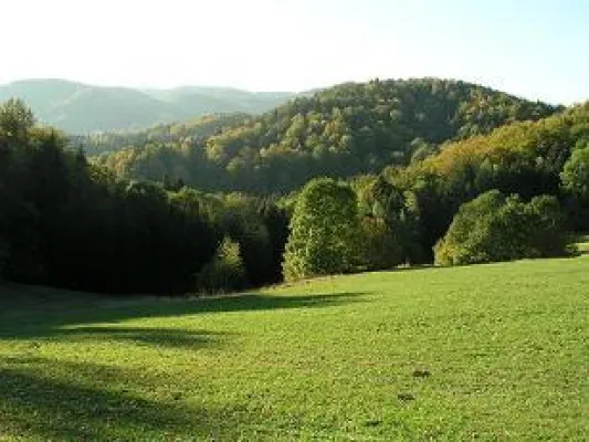 Bild: Wo die Freiheit ein Zuhause gefunden hat - Das Bikerangebot vom Hotel Hüttenhof