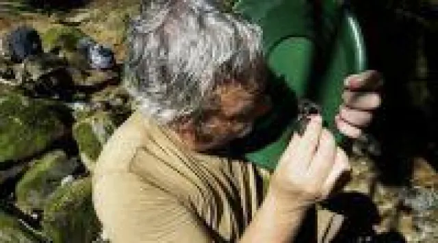 Bild: Aurania Resources startet gut finanziert ins erste Bohrprogramm