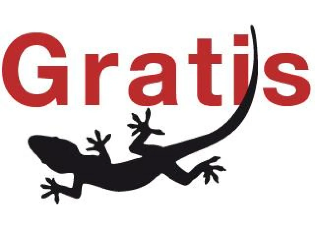 Gecko-Wandtattoo gratis bei Facebook Testaktion