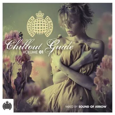 Bild: Ministry of Sound - Chillout Guide Volume 01