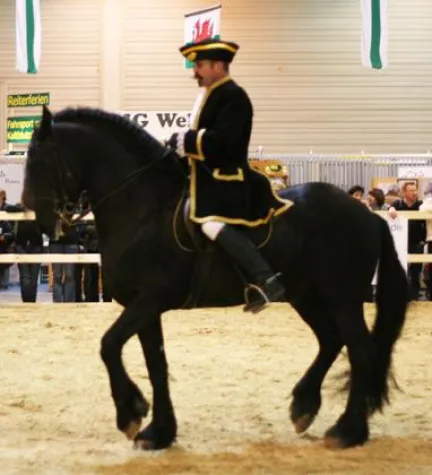 Bild: Gerd Speicher kommt zu Horsemen-United International