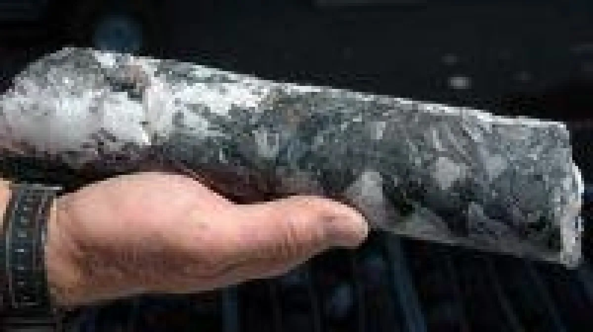 Quelle: Discovery Metals