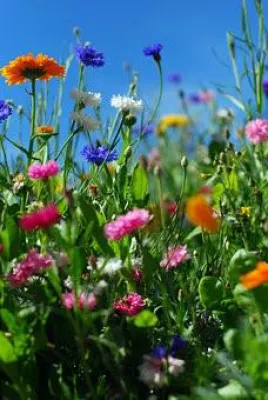 Bild: 4GENE PRÄSENTIERT 'FLAVOR-ON-DEMAND' AUF DER ACHEMA 2015