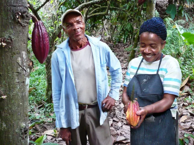 Bild: Keine Kinderarbeit für Bioschokolade