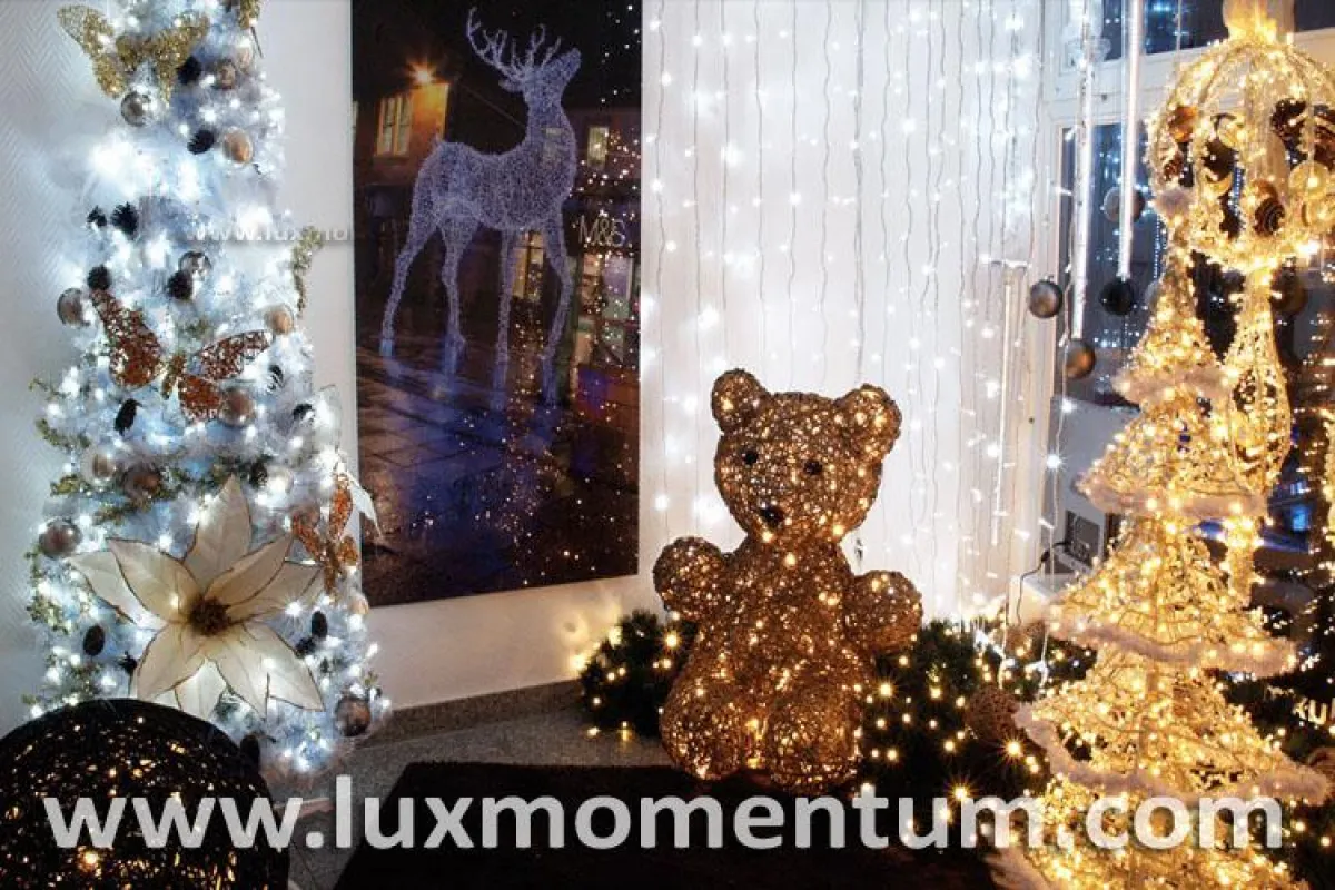 LUX MOMENTUM - Niederlassung Stralsund