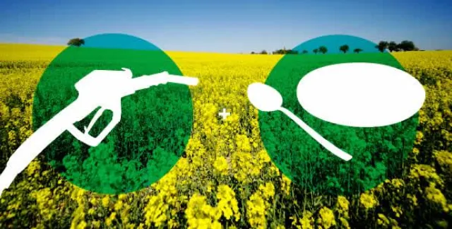 Bild: Zukunftsdiskussion am 19.06.2008 - Tank und Teller? Herausforderungen für die Nahrungs- und Energiesicherheit