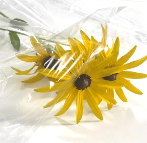 Bild: SABIC erweitert statistische PP-Copolymere für exzellente Ästhetik und verbesserte Leistung in Gießfolien