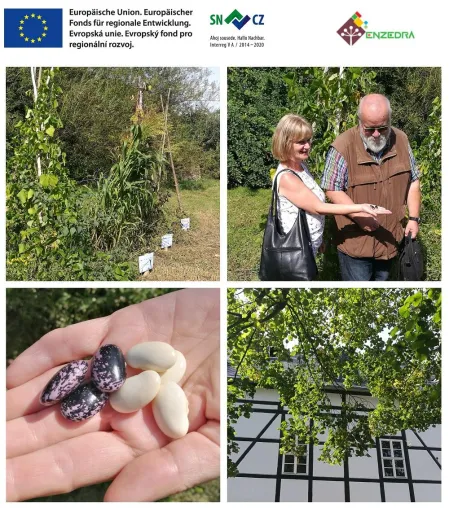 Bild: ENZEDRA-Projektpräsentation auf dem AmbrossGut Schönbrunn