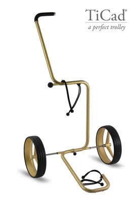 Bild: Luxusedition zum Firmenjubiläum: TiCad® präsentiert TiCad Star® in luxuriösem Gold