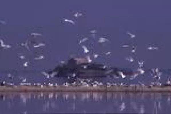 Bild: Birdwatching in Italiens größtem Regionalpark