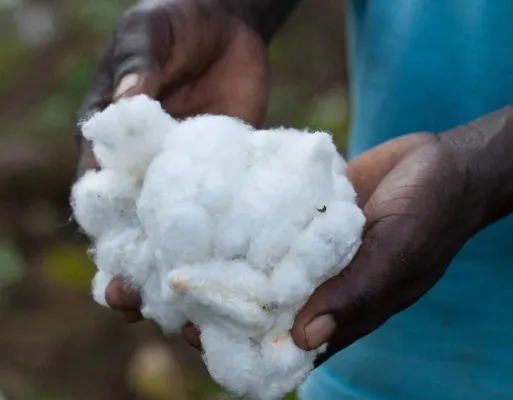 Bild: Energiequelle gesunder Schlaf in gesunder Baumwolle