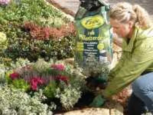 Bild: Grab-Pflegetipps - Offen-porige Grab-Pflanzerde verbessert die Wasseraufnahme