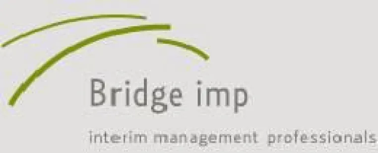 Bild: Bridge imp veröffentlicht Whitepaper „7 Erfolgsfaktoren für die erfolgreiche Markterschließung“