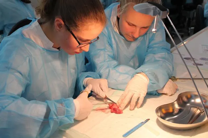 Bild: Auch für Jungs: Herbstferienkurs mit Pipette und Skalpell