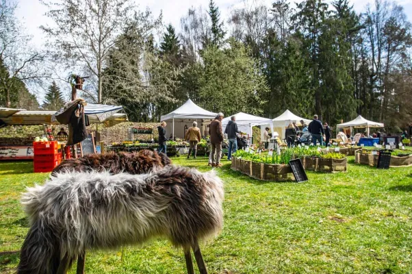 Bild: Pflanzen- und Kunsthandwerkermarkt im Wildpark Müden am 21. und 22. März 2020