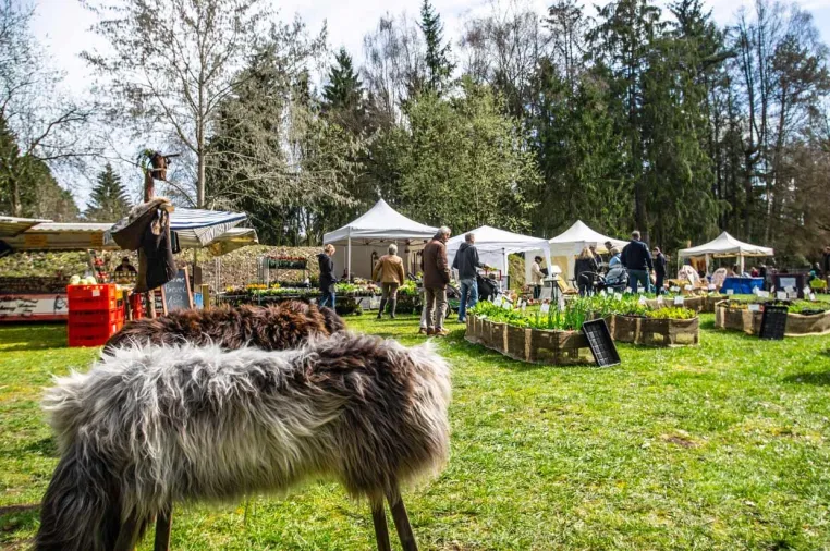 Bild: Pflanzen- und Kunsthandwerkermarkt im Wildpark Müden am 21. und 22. März 2020