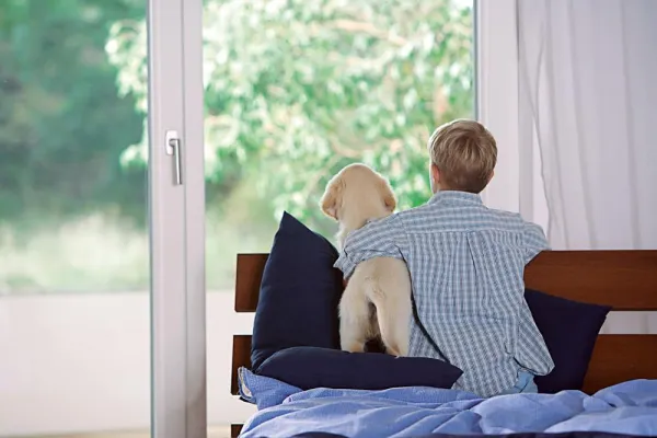 Bild: Großartige Aussichten - Mit neuen Fenstern die Heizkosten im Griff