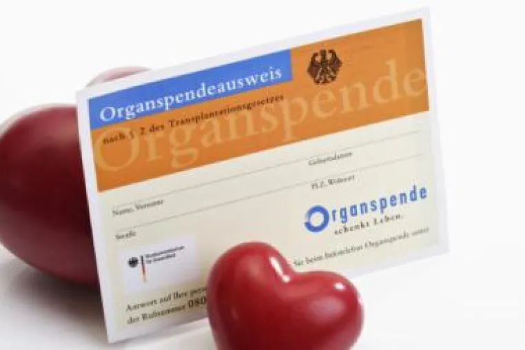 Bild: Organhandel – Organspende für Reiche?