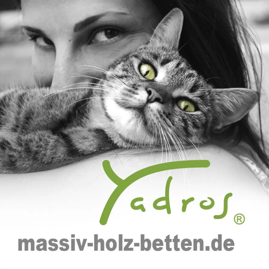 Hauskatzen sind strahlensuchende Tiere