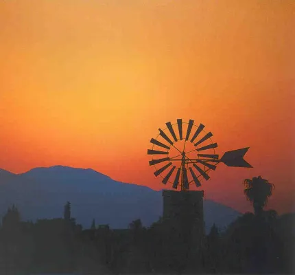 Bild: Sonnige Zeiten in der Weiterbildung - lifeperformer® mit coworkers coaching nun auch auf Mallorca