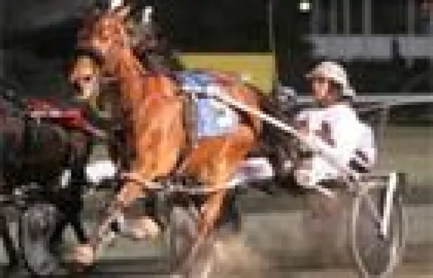 Bild: Comeback für CASIMIR CAMOTION auf Meadowlands?