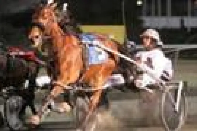 Bild: Comeback für CASIMIR CAMOTION auf Meadowlands?