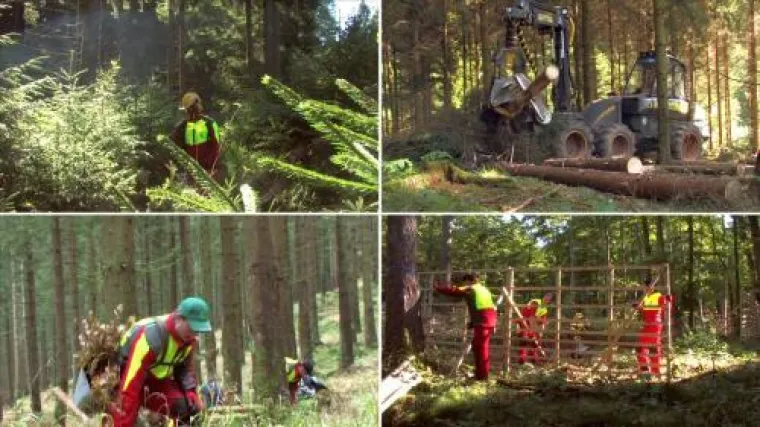 Neuer Video-Clip zur Image-Werbung für den Forstberuf Bild: Neuer Video-Clip zur Image-Werbung für den Forstberuf